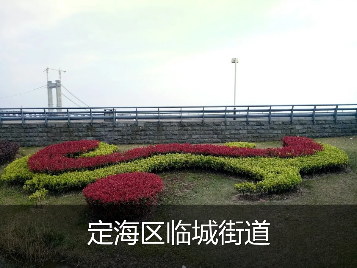 定海区临城街道