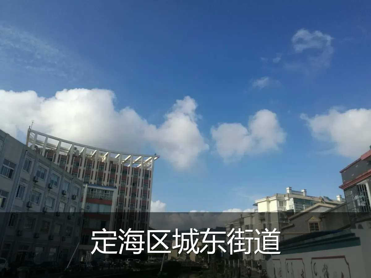 定海区城东街道